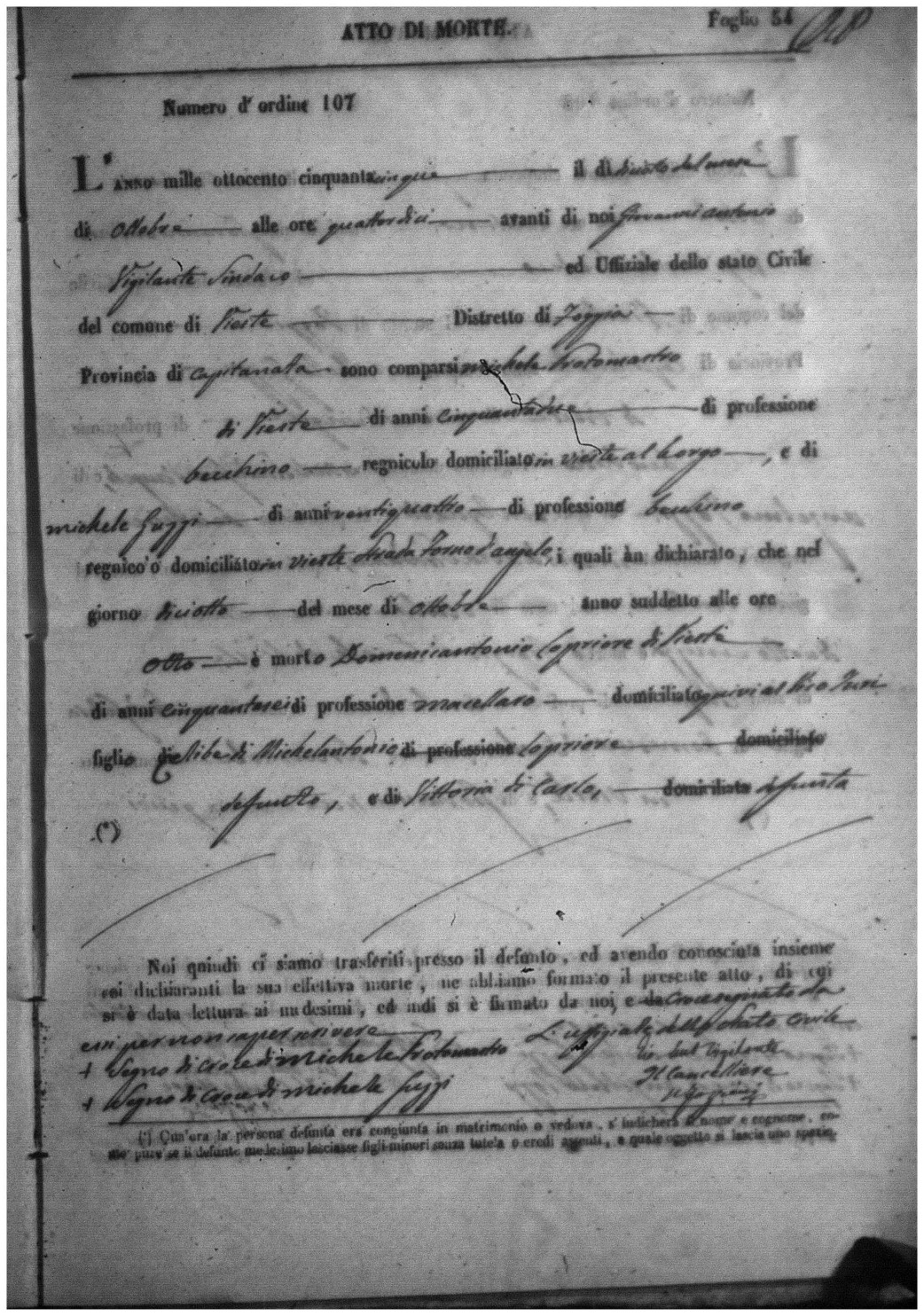 Document